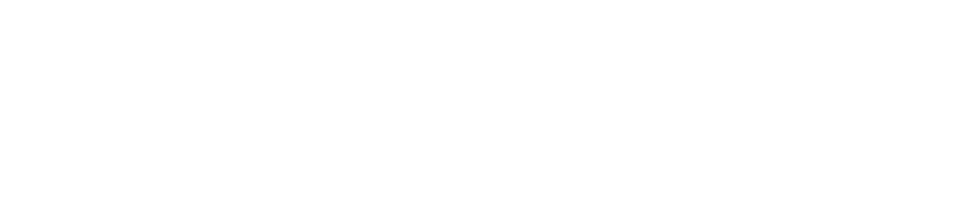 Shelton Asset Management